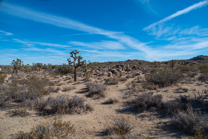 深入了解红足一世平台的优惠活动与奖励机制