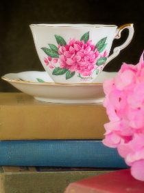 深入了解金库娱乐背后的商业模式与发展趋势