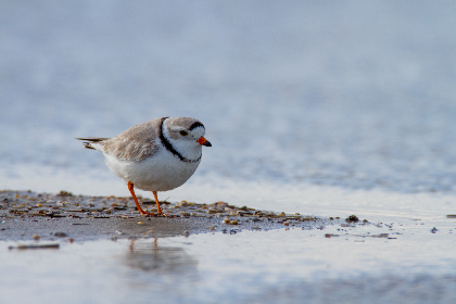 4月4日大乐透开奖号码及中奖结果查询