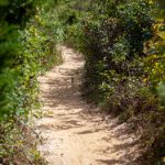 500彩票最新开奖结果查询与中奖号码公布 bm2hbbx