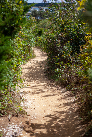 500彩票最新开奖结果查询与中奖号码公布