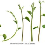 深入了解银联国际娱乐的最新活动与优惠信息 cjss3k3xx