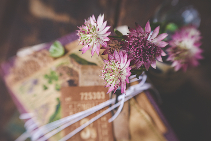 4月6日双色球开奖结果公布：最新中奖号码与奖金分配详情