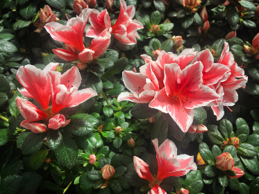 4月18日最新3D开奖结果查询与详细数据分析