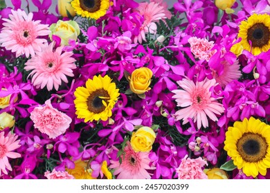 4月27日开奖结果揭晓，幸运号码震撼出炉