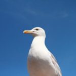 深入了解韦德国际平台的多样化游戏选择与特色 ui4f08