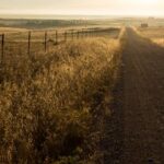 JXTV2在线直播高清观看平台 ia11856