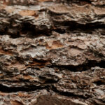 JRS直播com:畅享高清流畅的体育赛事直播平台 z7cv8wu